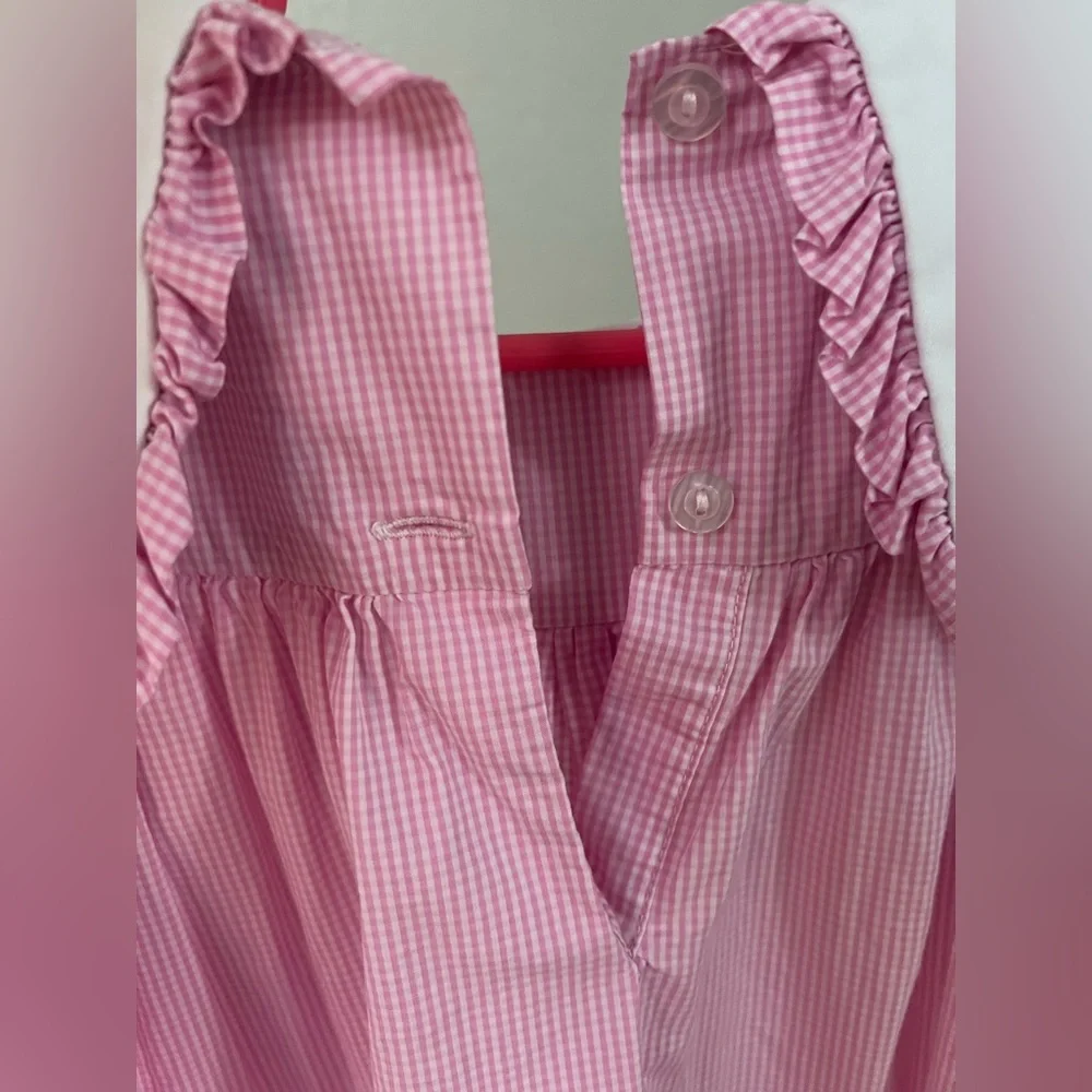 Toddler Pink Gingham Dress with Embroidered Turkey Accents - Picture 4 of 10